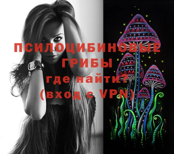 молекула духа Балахна