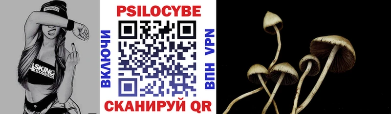 где можно купить   Лениногорск  Псилоцибиновые грибы ЛСД 
